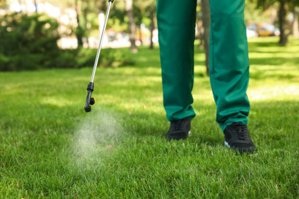 Best Flea Control Services  in Glasgow, KY
