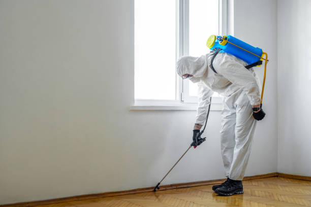 Best Pest Removal Services  in Glasgow, KY
