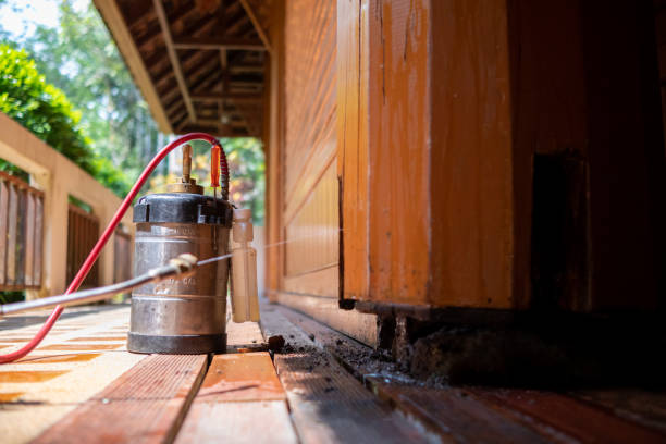 Best Pest Prevention Services  in Glasgow, KY