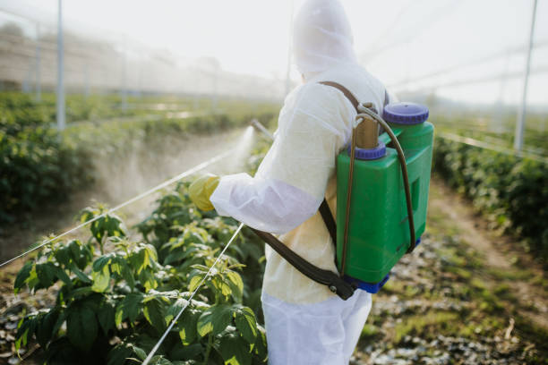 Best Pest Control for Restaurants  in Glasgow, KY